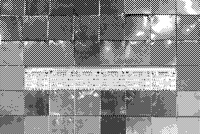 Fotografía de los pixeles